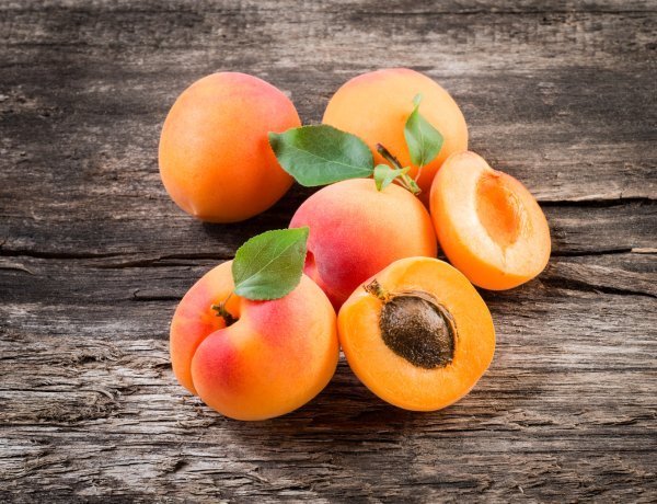 Apricots
