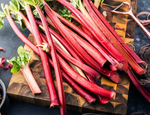 Outdoor Rhubarb