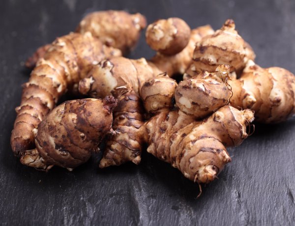 Jerusalem Artichoke