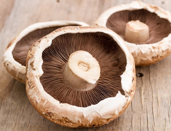 Portobello Mushrooms