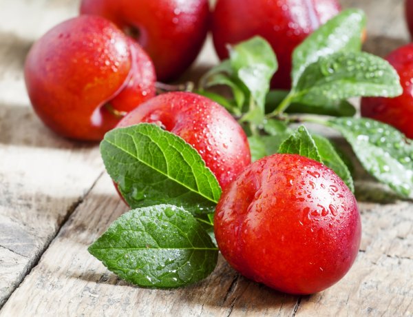 Red Plums