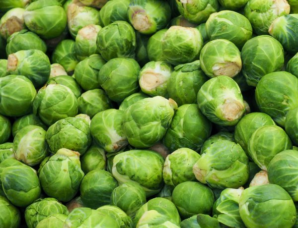 Sprouts