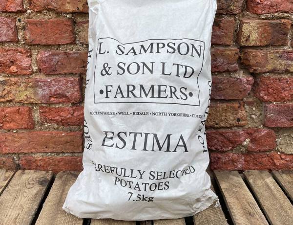 Sampson's Estima