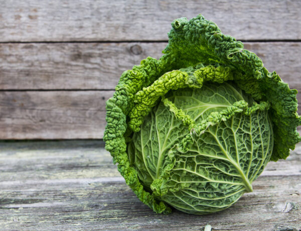 Savoy Cabbage - The Yorkshire Greengrocer