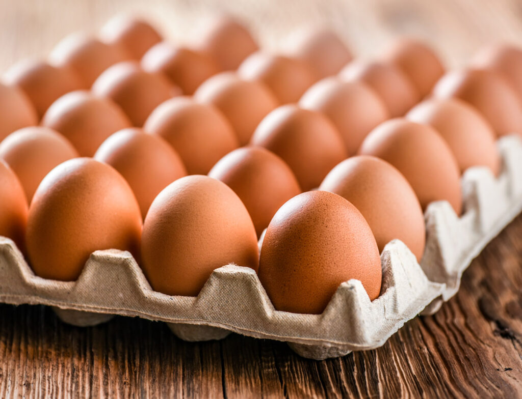 Large Farm Eggs Tray