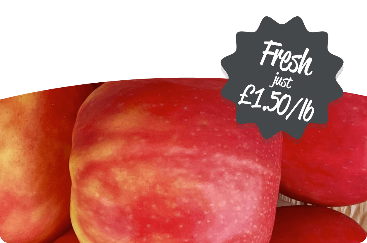 featuredBig pinkLadyApples