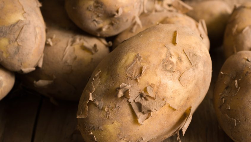 Jersey Royals