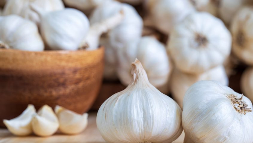White Garlic Bulb
